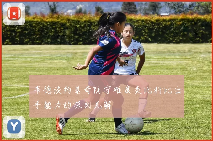 韦德谈约基奇防守难度类比科比出手能力的深刻见解